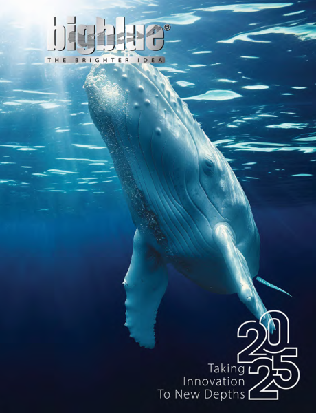 BigBlue Katalog 2025 online